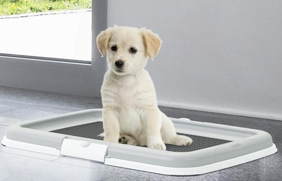 Stefanplast        Puppy Training set (,  1)