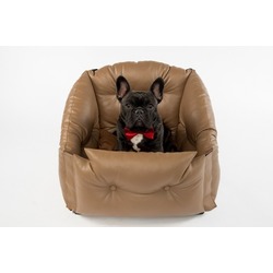 DogsCars      ,  ,  5050 .  2