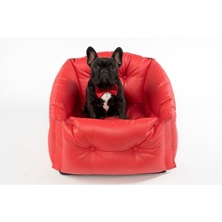 DogsCars      ,  ,  5050 .  2